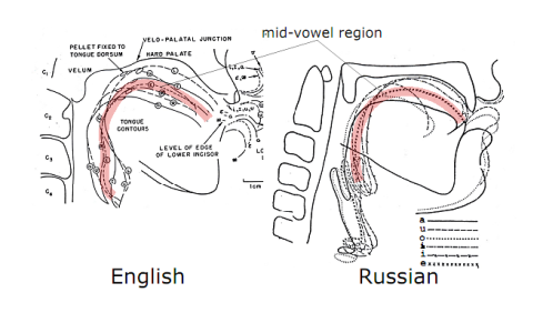 Meaning Russian Tongue 78